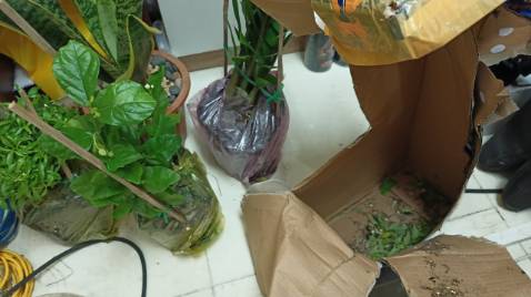 Giao hàng nhanh, tốt, cửa hàng uy tín.