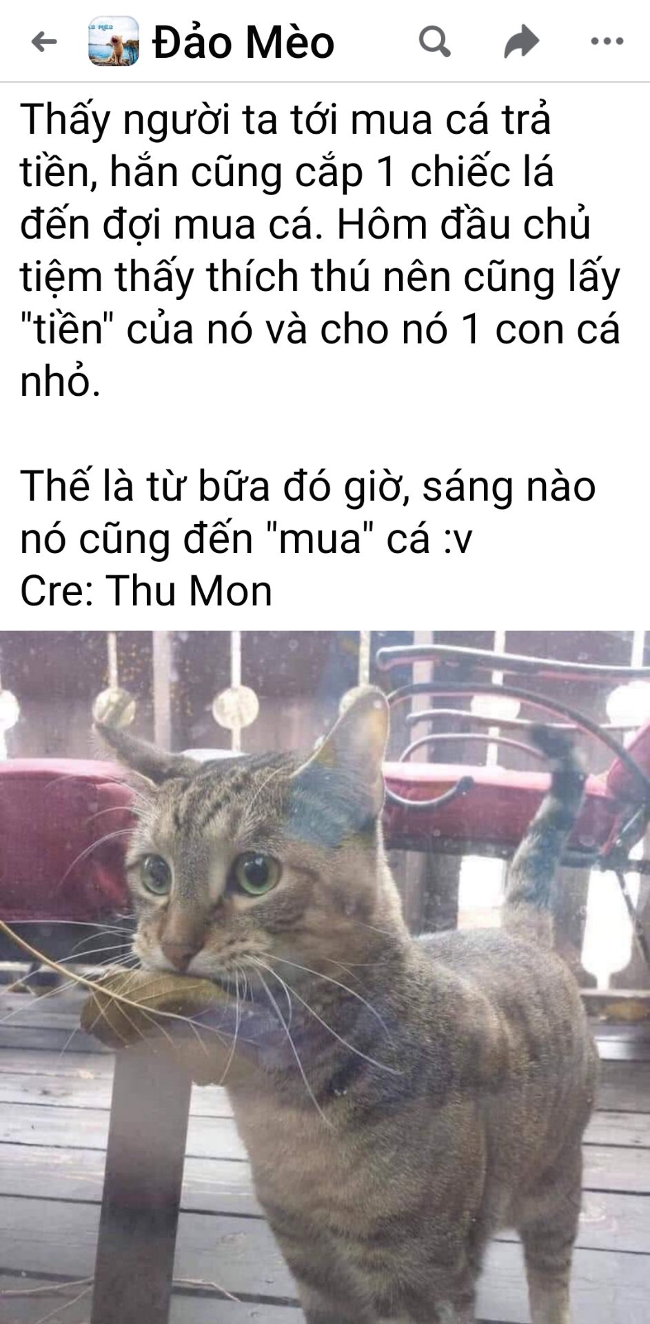 Đóng gói tốt, nước mắm ngon, chuyển hàng nhanh. Nước mắm nguyên cốt