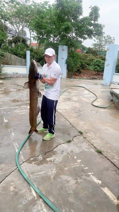 Đã nhận được sản phẩm chưa *** thử nhưng đầy đủ phụ kiện cần hơi dẻo thôi để câu cá rô sẽ ủng hộ shop trong lần mua tới