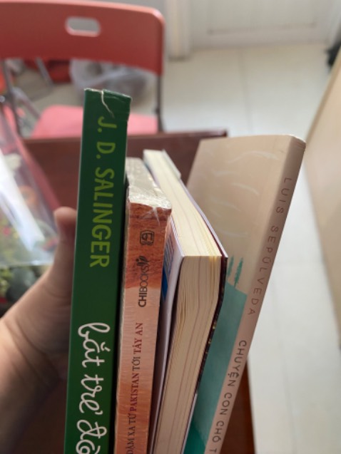 Tạm ổn Sách bị gãy. Gáy sách rách