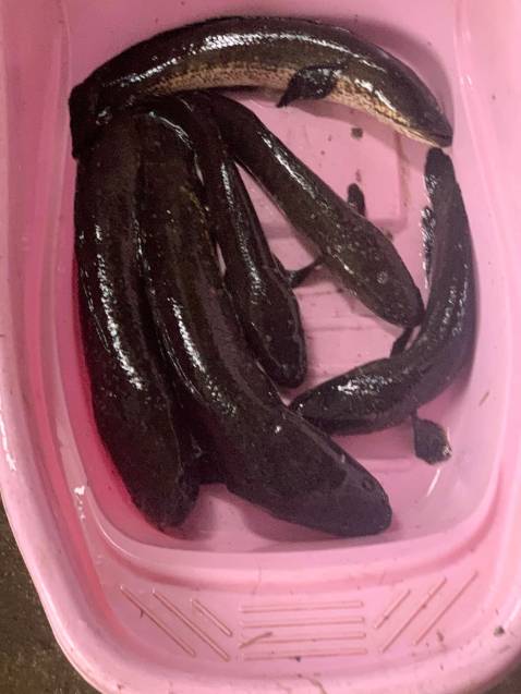 Hàng tốt, đẹp, mà chưa câu nên chưa pik chất lượng ra sao. Giao hơi chậm nhưng tại xa nên ko sao