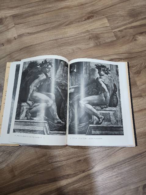 Sách ấn tượng và chi tiết, hơi tiếc là vẫn in đen trắng. Phù hợp với dân chuyên ngành hơn.