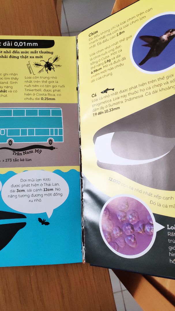 Sách nhận được bị bung trang, bị va đập móp cạnh