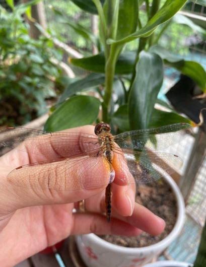 Rất hiệu quả, bé vào dáng chuẩn khi ngồi học nhé, có cái núm xoay giúp thay đổi độ cao rất linh hoạt.