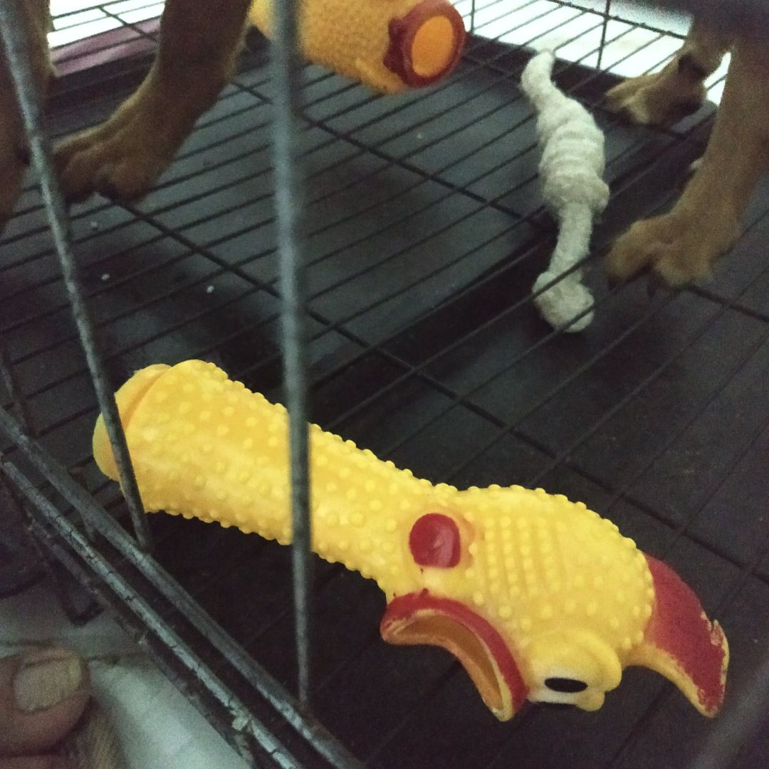 nó chơi đc 1 ngày là ra nông nổi này....