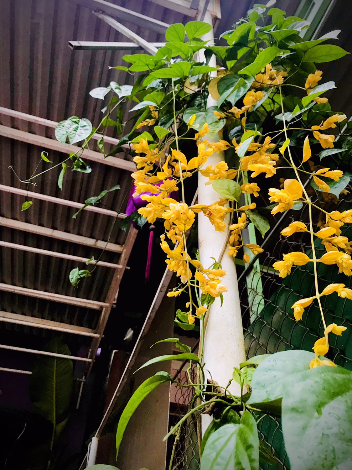 Cuốn sách giúp mình hiểu thêm về cuộc đời của những người thành đạt. Câu chuyện truyền cảm hứng tích cực cho các bạn nhỏ biết mơ ước và hành động! Tặng các bạn bông hoa xinh