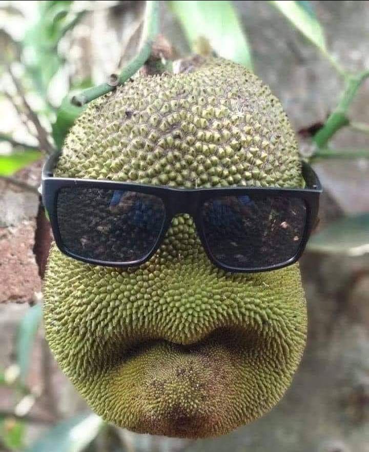 hình ảnh mang tính chất kiếm xu. Đánh giá 5 sao về chất lượng phục vụ.......