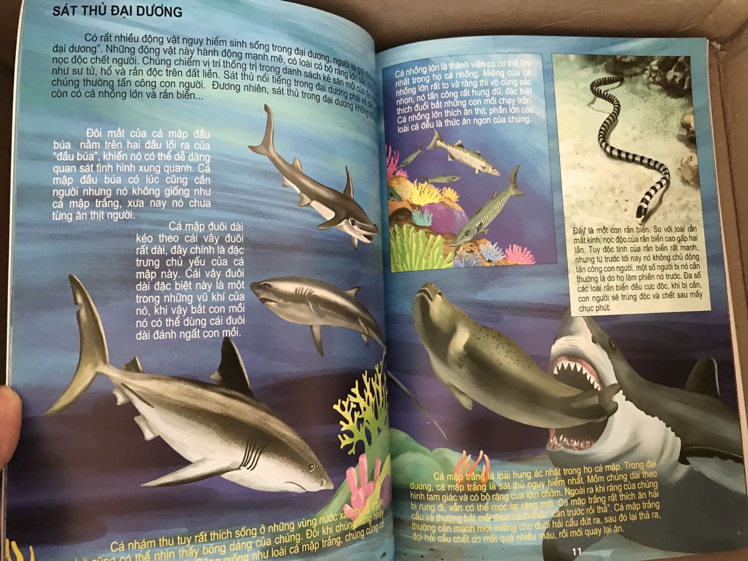 Sách ổn, nội dung phong phú. Tuy nhiên có lúc phần chữ và hình nhìn hơi rối, cần có người lớn hướng dẫn bé xem sách.