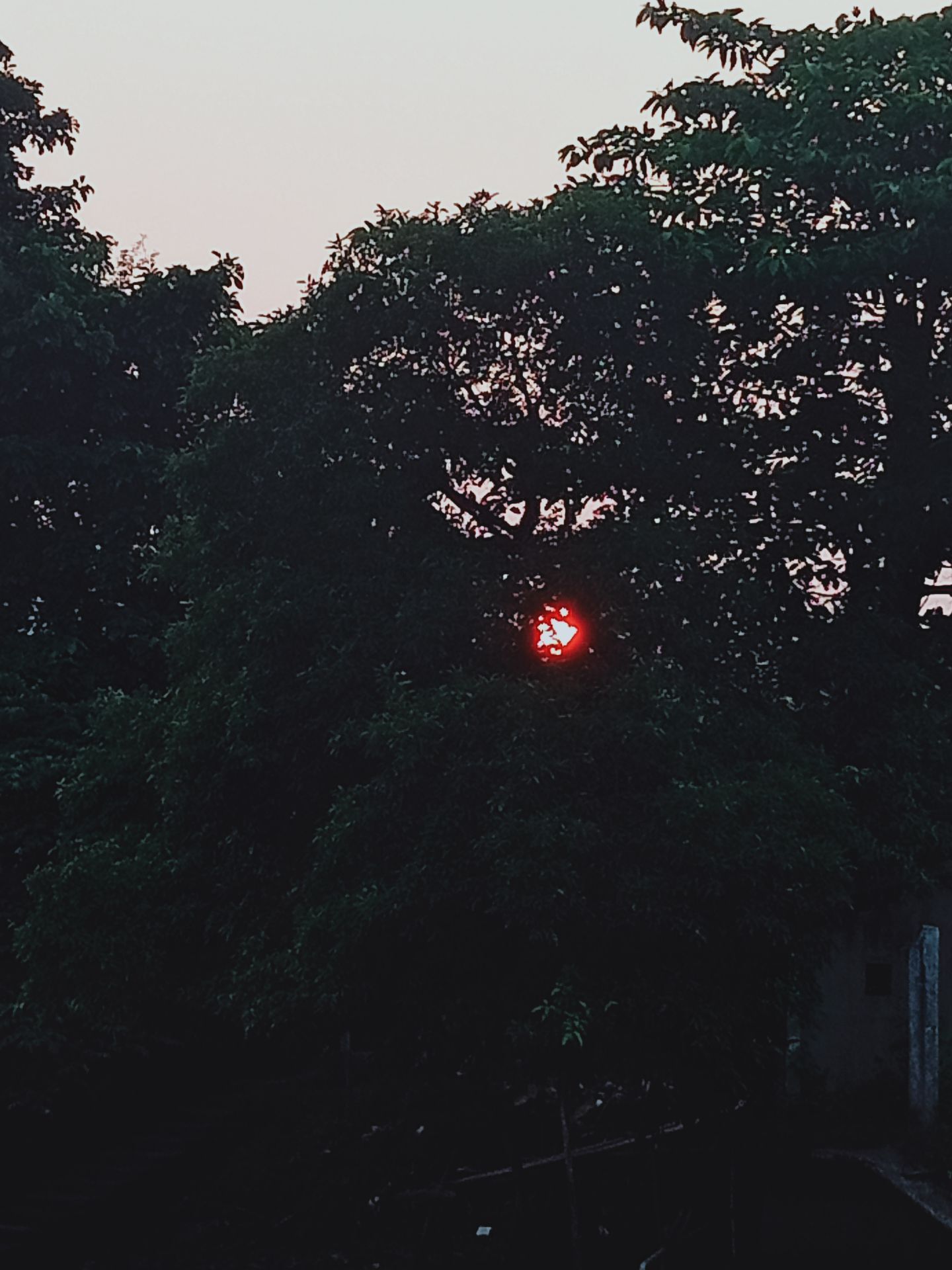 BỮA ĂN 14H
- Quả: 
Táo, Mơ, Mận, Đào, Lê, Lựu, Cam, Quýt, Bưởi, Nho, Xoài chín, Đu đủ, Dừa tươi, Mãng cầu, Chuối, Bơ, Sầu riêng, Mít, Dưa gang, Dưa hoàng kim, Thanh long, *** sữa, Măng cụt, Vải, Bòn bon, Óc ***, Na, Ổi,...

- Nước ép: 
Củ cải đỏ*, cà rốt, cà chua, táo, lê, lựu, đào, cam, khóm, xoài, đu đủ, rau cải (5 loại),...

-Sinh tố: 
Các loại (k thêm đường sữa hoặc chỉ thêm với lượng rất ít)