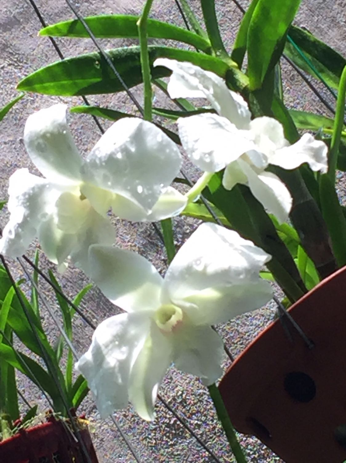 Hài lòng
Sản phẩm tốt