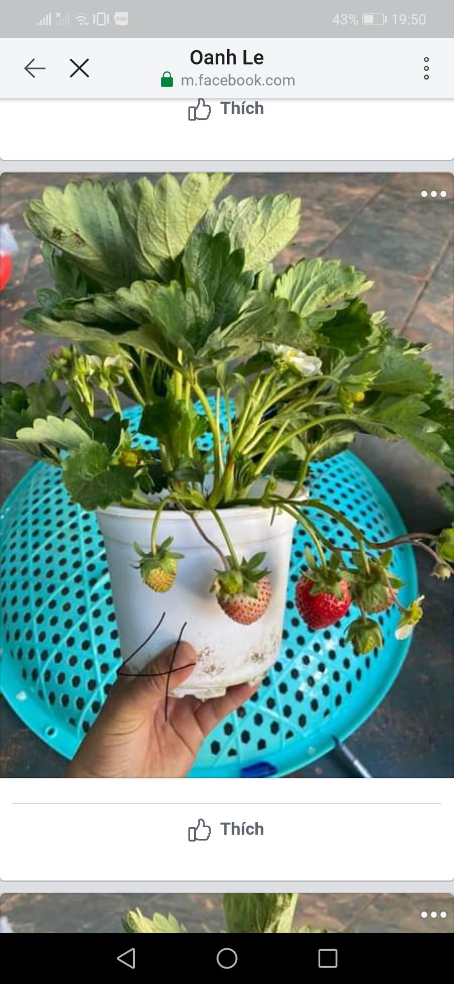 hiện tại thì chưa thấy ji bất thường, để dùng thử kết quả mình sẽ review tiếp nhé