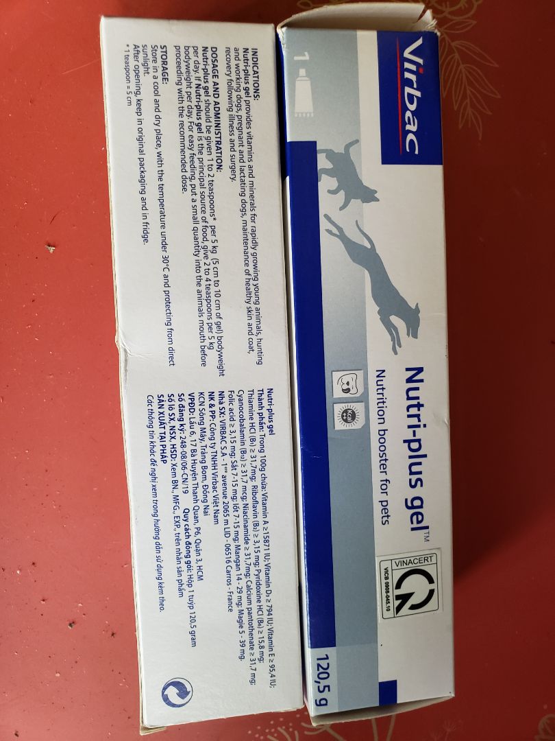 bé mèo thường bị táo bón, theo lời bs khuyên cho ăn món này rất dễ tiêu hóa bé mèo thường bị táo bón, theo lời bs khuyên cho ăn món này rất dễ tiêu hóa