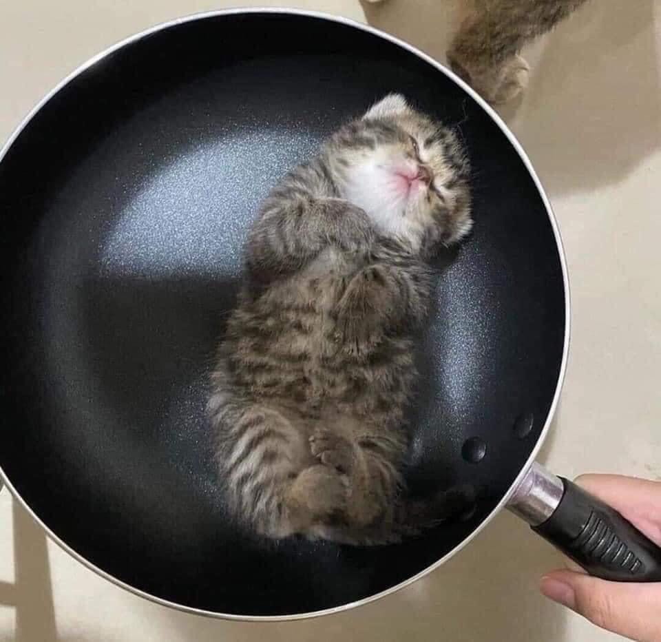 giao hàng nhanh ,bao gói cẩn thậnnnnnnnnnnnn