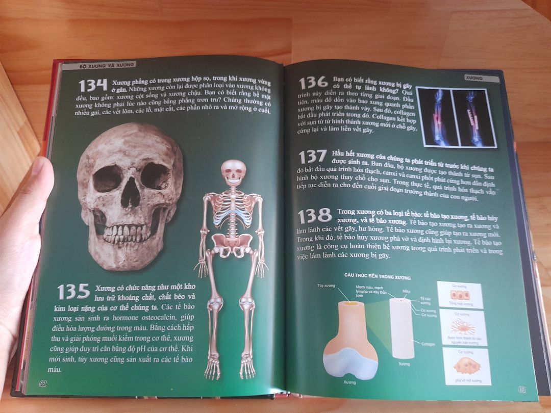 sản phẩm tốt chất giấy rất êm nội dung phong phú dễ hiểu hình ảnh rất thật và sinh động . Hài lòng !!