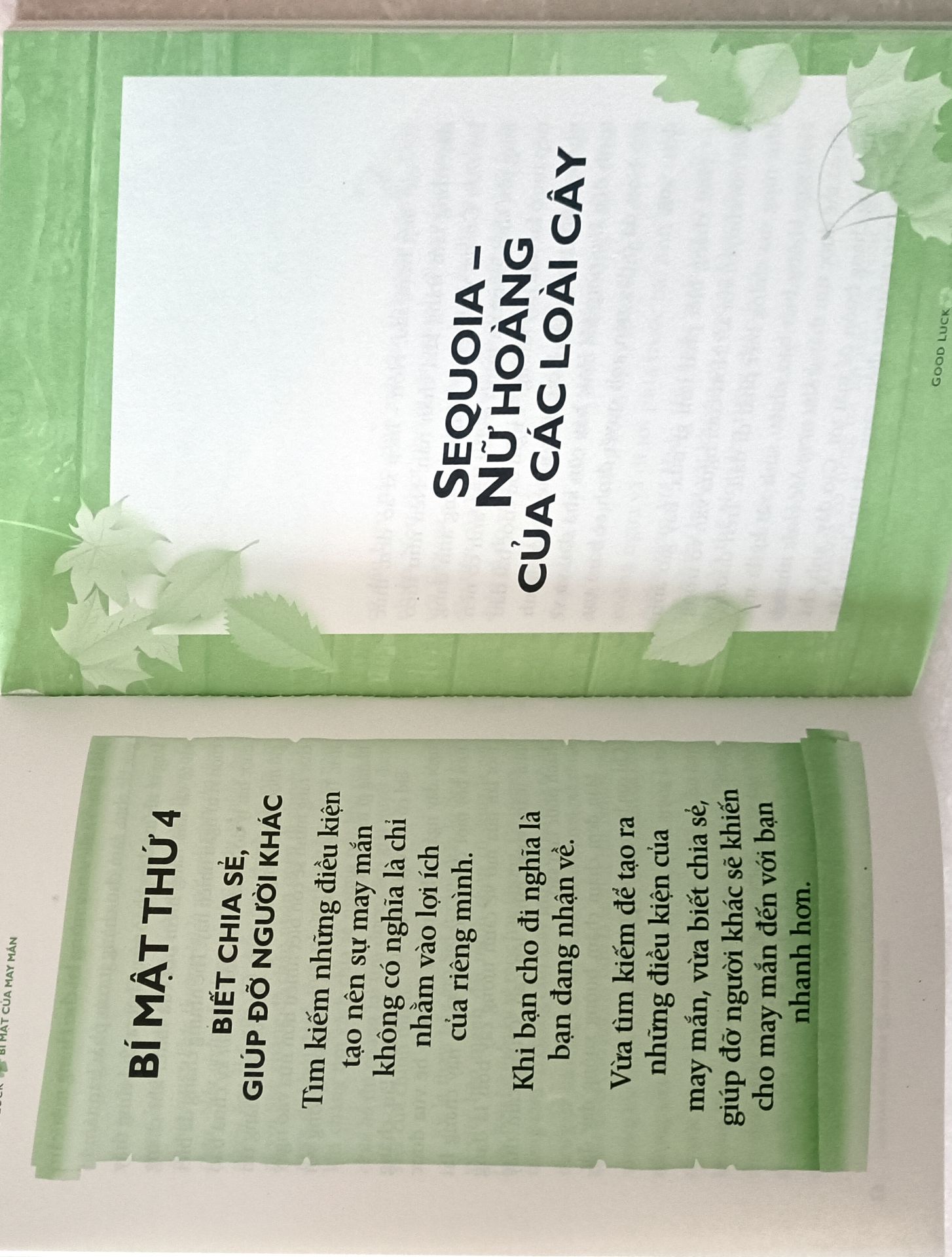 Sản phẩm tuyệt vời, toàn sách tái bản mới nhất, sách dây thừng, kg phải sách lậu, có bản quyền hẳn hoi. Nói chung nhận sách rất ưng. Giao hàng rất nhanh. Sẽ ủng hộ tiki những lần sau.