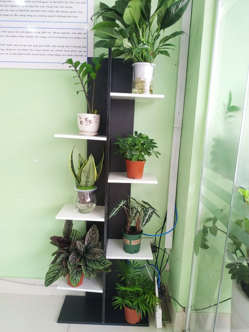 Kệ đẹp, lắp đặt đơn giản