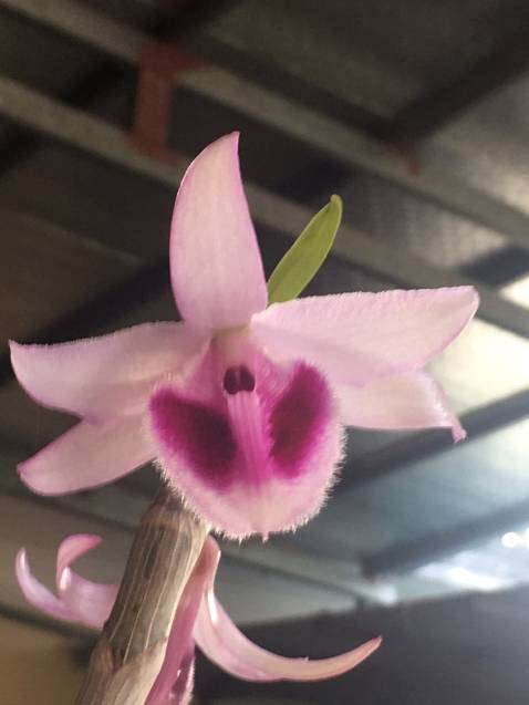 Hàng phù hợp với giá nhé. Rất hài lòng. Mmmmmmmmmmmmmmmmmmmmm