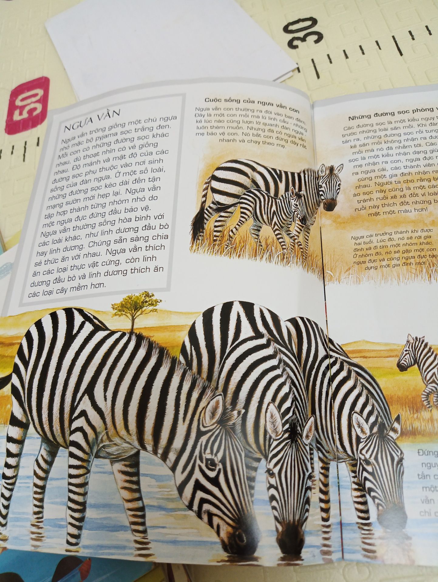 Sách rất thú vị.