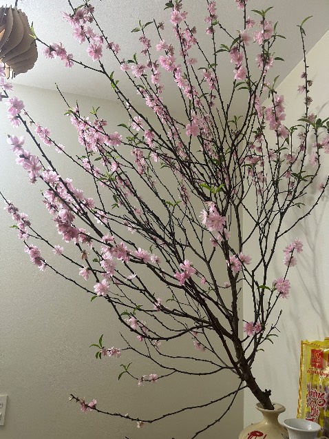 Hàng như quảng cáo giao nhanh