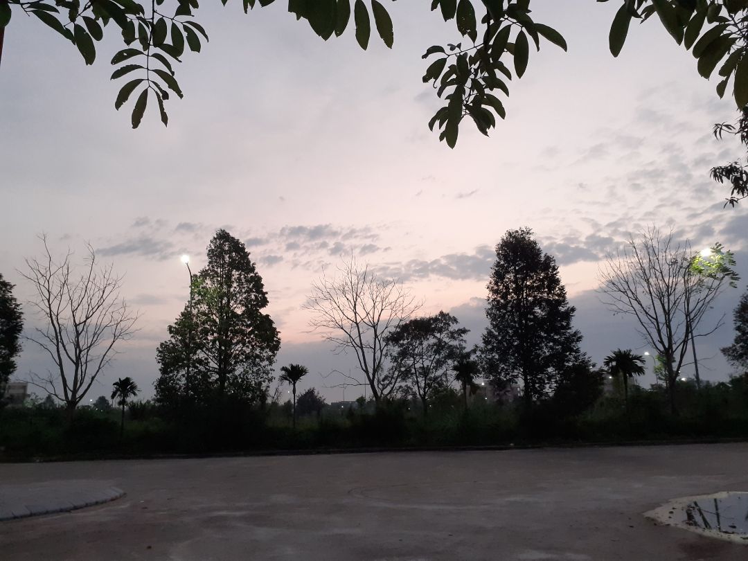 sản phẩm ngon bổ ạ