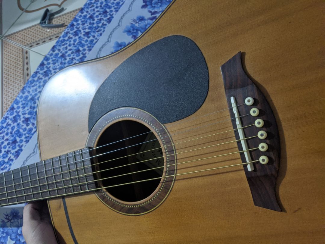 chính Hãng Chất luon