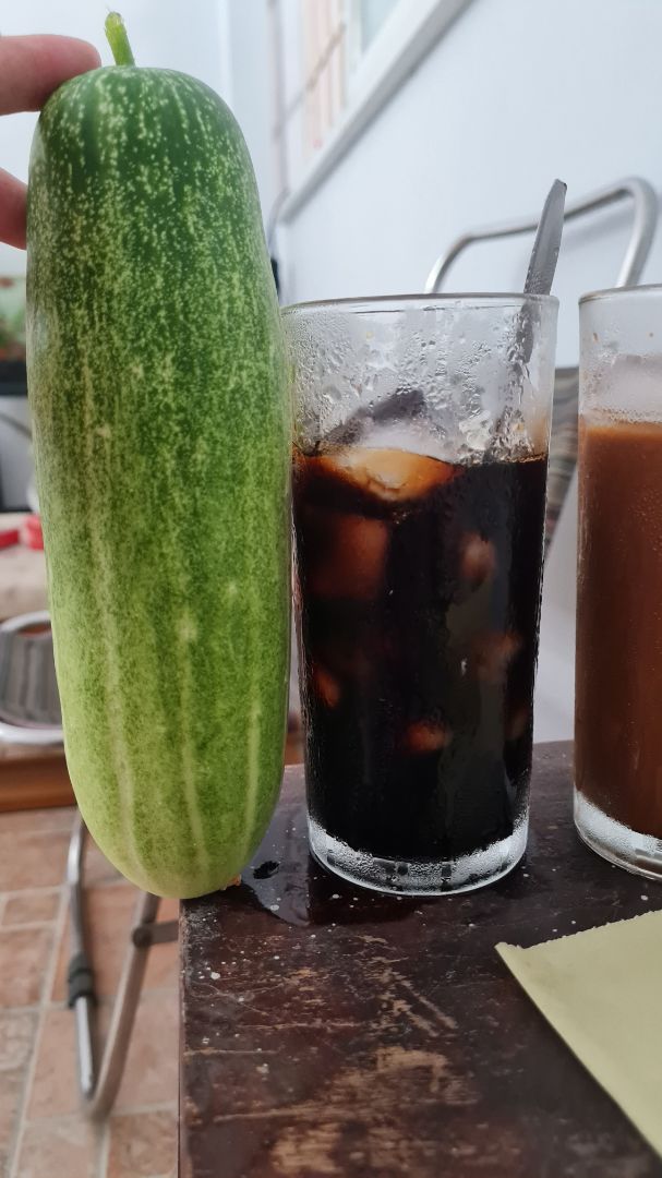 đã dùng và đặt dùng tiếp,giao hàng nhanh đã dùng và đặt dùng tiếp,giao hàng nhanh