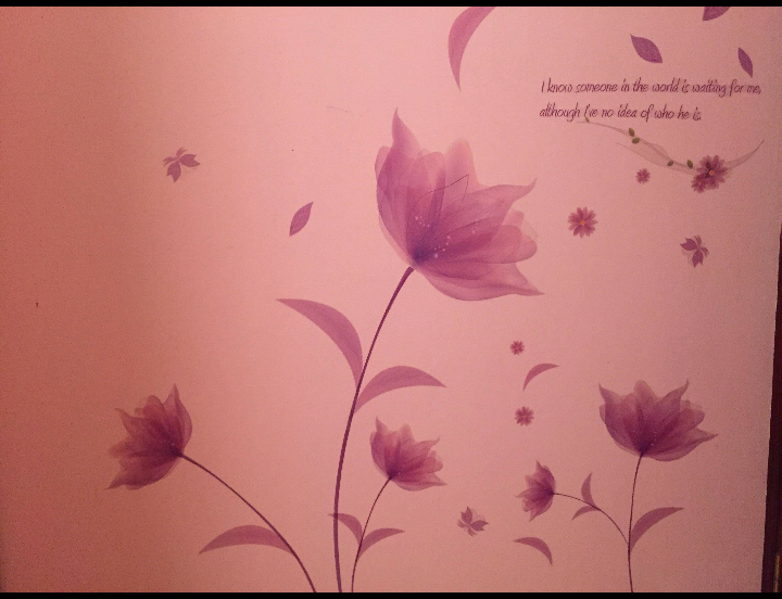 Sản phẩm rất đẹp , giống hệt trong hình . Dán khá chắc chắn