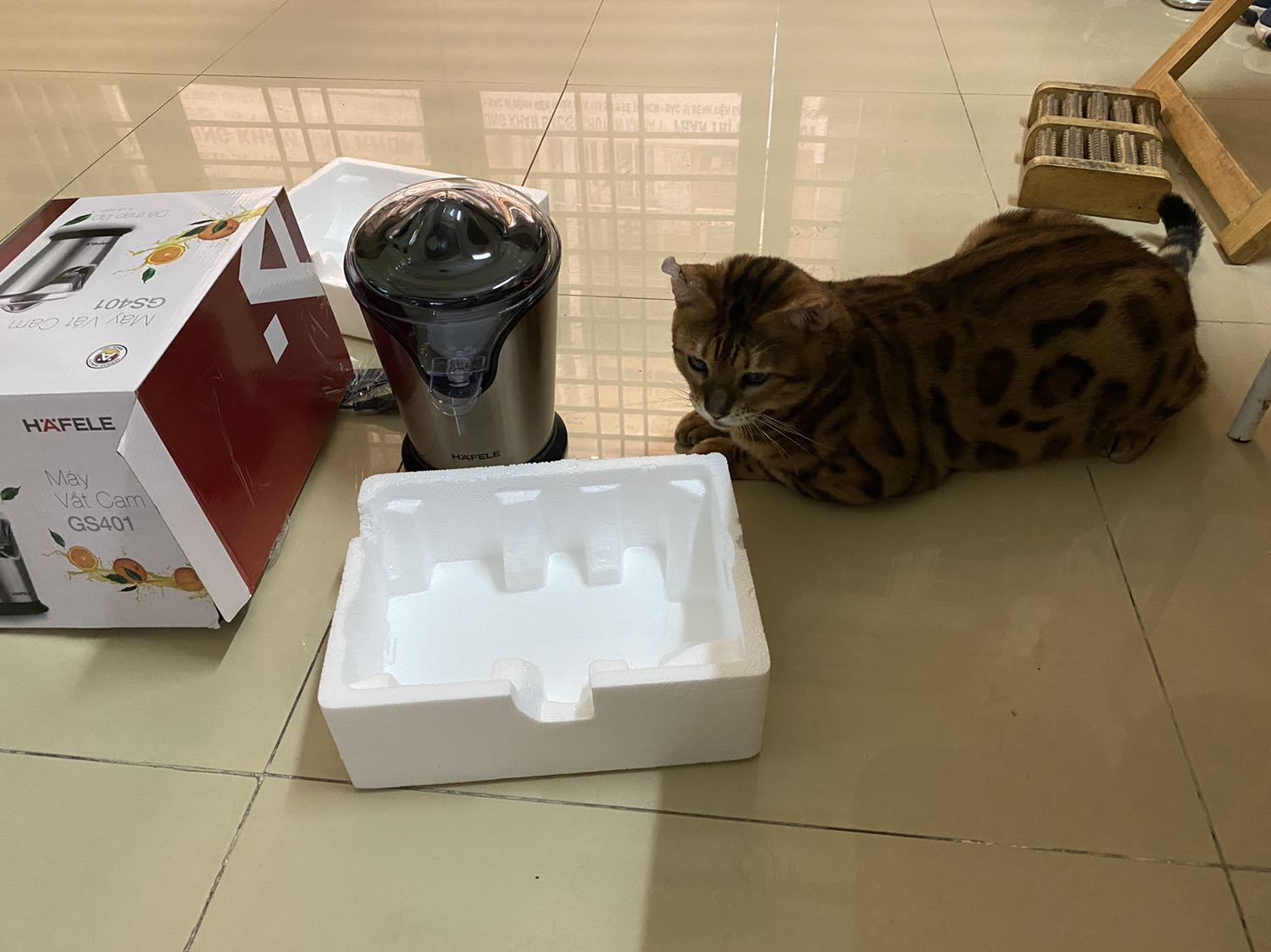 Máy vắt cam 🍊 Hafele công suất mạnh, chạy rất êm, vắt kiệt nước cam 🍊 & bưởi. Nút lấy nước cam có thể bật lên xuống, không cần nghiêng bình để rót nước cam , tiện lợi.