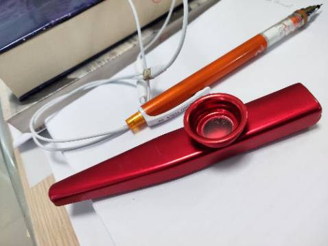 Kêu vui. Giá rẻ, ai cũng chơi được, không cần.học nhạc lý. Nhưng vui là vì âm thanh mắc cười, chứ ai mà muốn âm thanh hay như sáo hay harmonica thì không nên chọn.