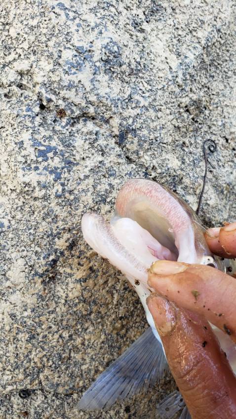 Giao hàng khá nhanh ⭐⭐⭐⭐