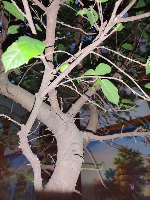 Muốn chạy bộ mà ra ngoài bụi và nguy hiểm em chọn mua máy chạy mn ạ-)))) khả năng chịu lực tốt, máy chắc chắn , shop đóng gói tốt , hàng nguyên đai nguyên kiện, rất tốt và xứng đáng sắm 1 em về nhà nheee, cả nhà cùng dùng đc lunnnn