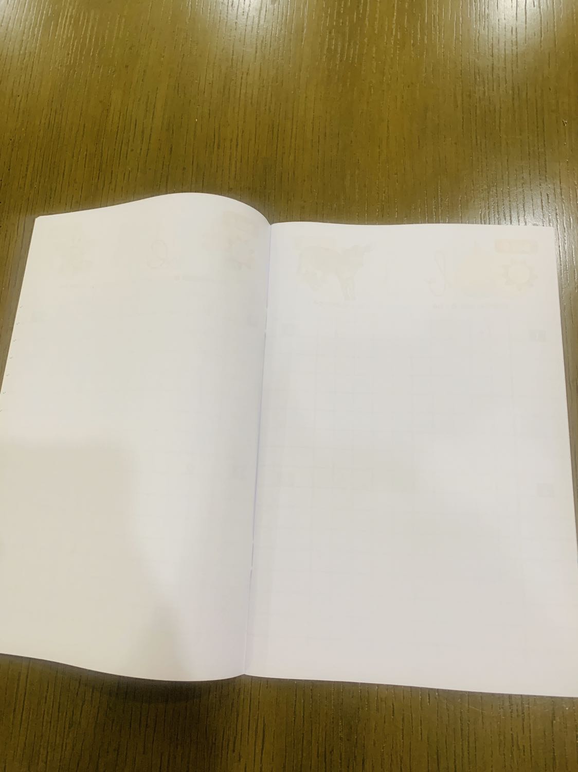 Quyển tập viết tập 1 quá nhiều lỗi, cụ thể là có những trang trống trơn, không có nội dung