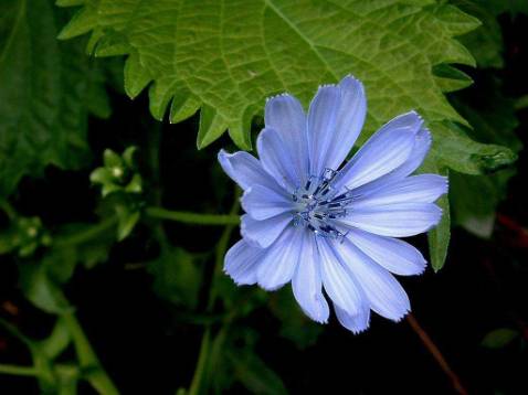 Shop đóng gói cẩn thận, giao đúng màu, đúng mẫu, bé rất thích Shop đóng gói cẩn thận, giao đúng màu, đúng mẫu, bé rất thích