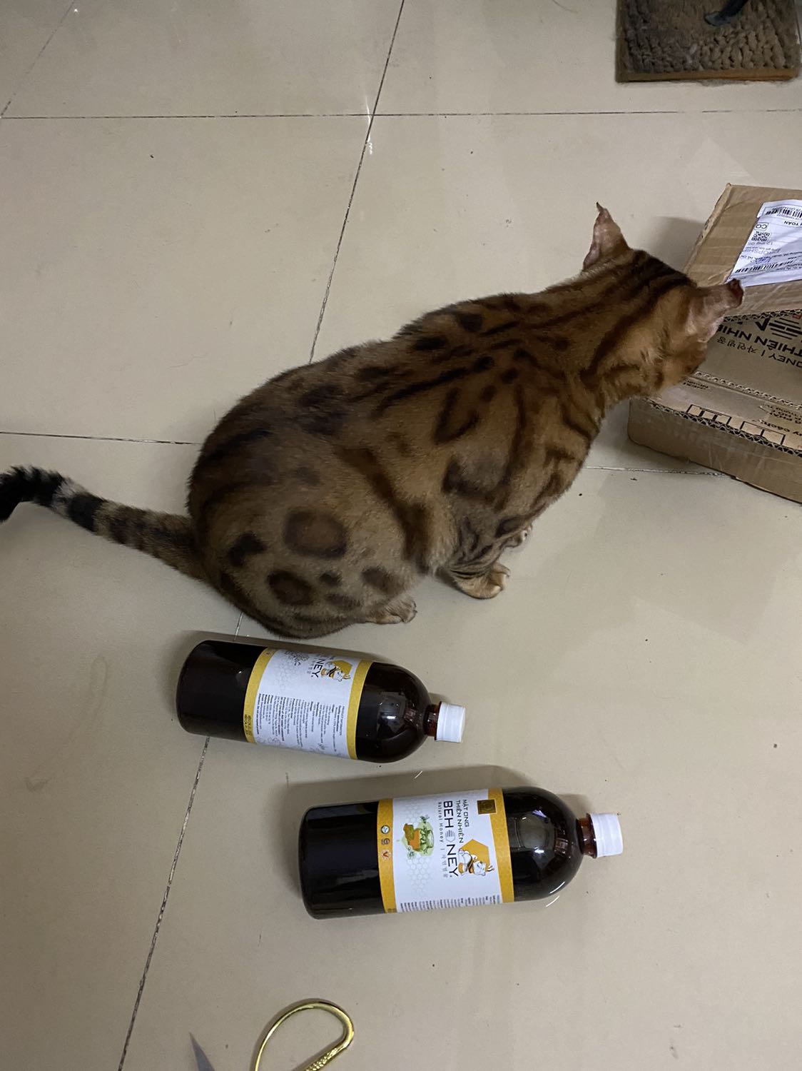 Đã mua mật ong của Cty nhiều lần, nhưng đây là lần đầu mua mật ong Bear . Nói chung là ngon !