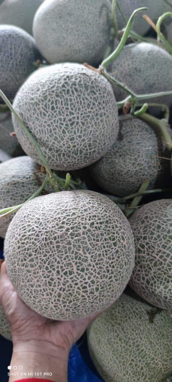 Hình ảnh không liên quan, sách vừa nhận chưa xem nhưng được bạn giới thiệu nên mua đọc. Hy vọng nội dung có ích.