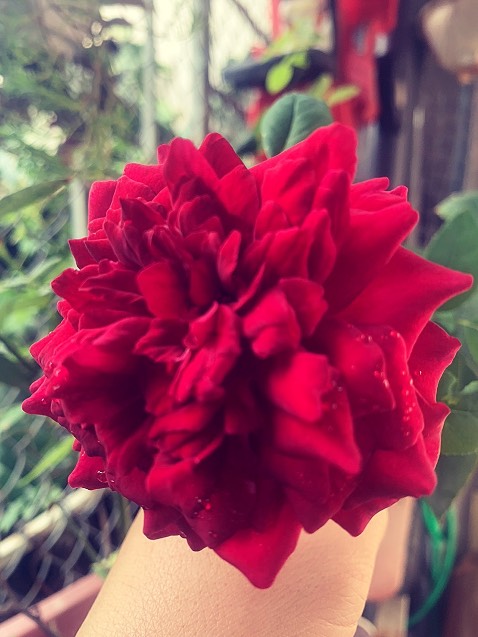 Chất dầy , mặc sẽ nóng, nhưng cũng khá ổn