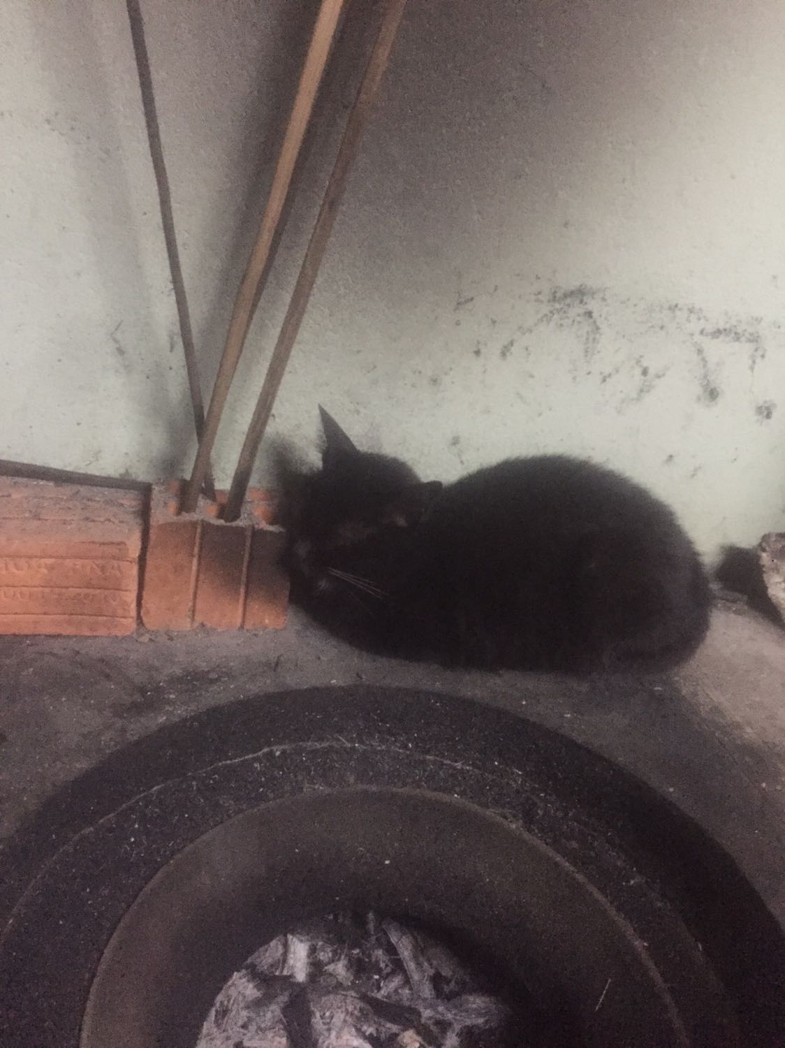 sản phẩm dao xịn lắm nha mọi người, dao bén, nhẹ và đẹp lắm nha