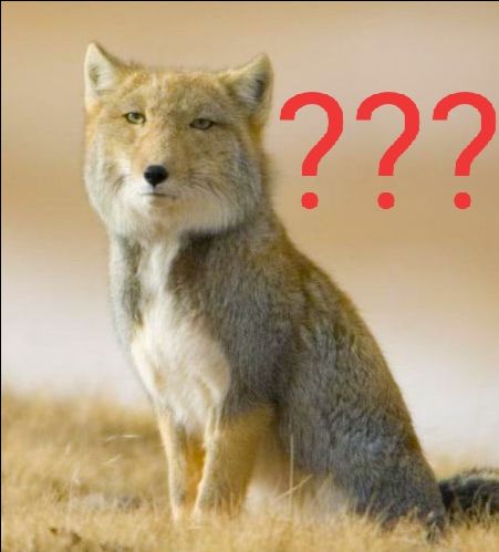 Ngon bổ rẻ, hàng VN chất lượng cao
*Hình ảnh mang tính chất cho có