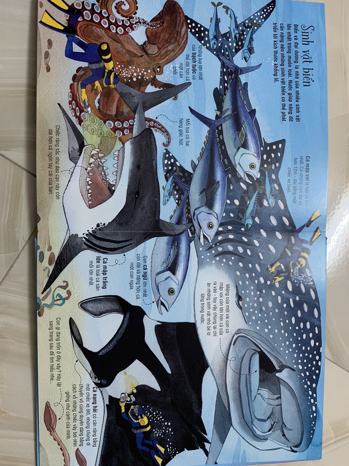 Sách đẹp, bé nhà mình rất thích