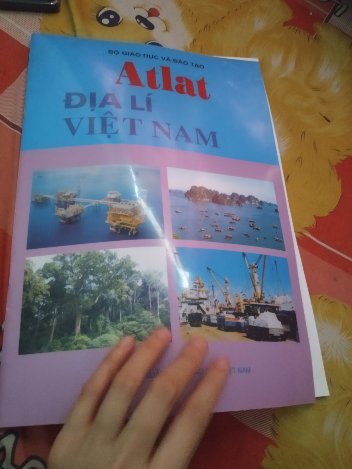 cái bìa láng không có sần sùi dày như hồi xưa mình xài. hồi xưa mà mua trúng cuốn như thế này là hàng giả á. không biết sao nữa mua trên FAHASA ...