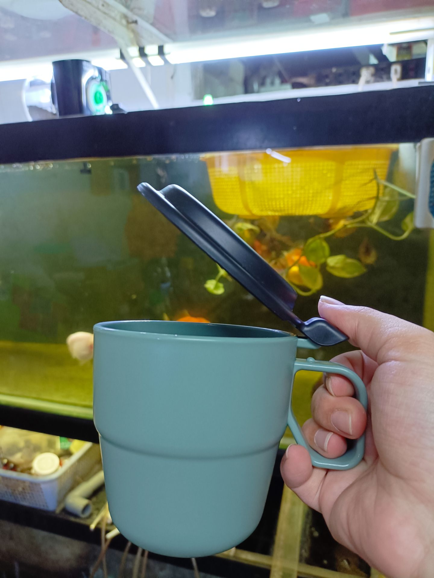 mịn đẹp, tiện dụng, giá hợp lý