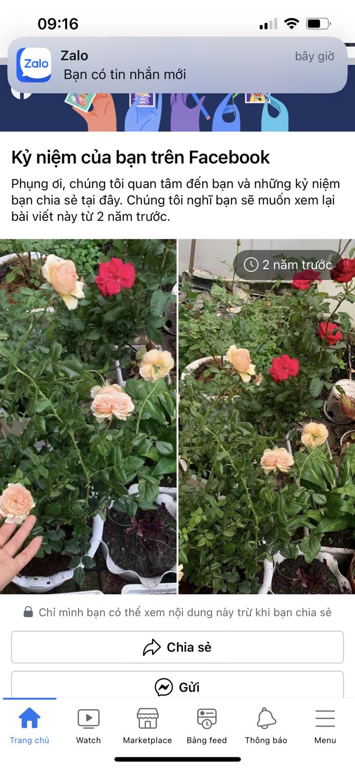 Nằm êm tuy ko cao cho lắm, phù hợp giá tiền. Nằm êm tuy ko cao cho lắm, phù hợp giá tiền.