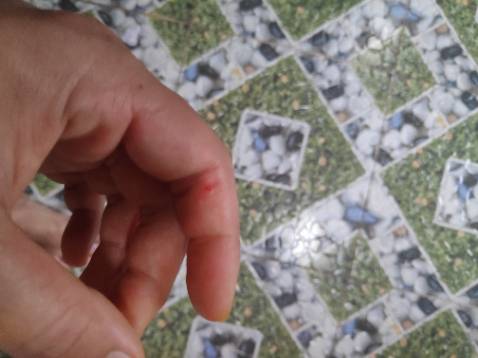 Đóng gói rất đẹp, thiết kế sang trọng, không biết làm từ vật liệu gì mà cầm nắm gọn nhẹ, *** thử đứt cả tay, -1 điểm cho dao bào bằng nhựa