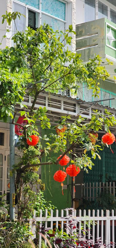 háng chuẩn. giao hàng nhanh