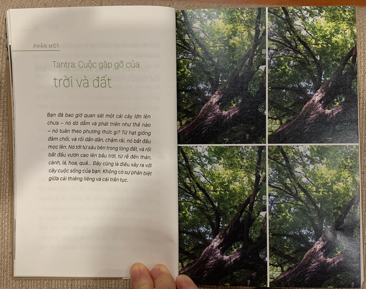 Tiki ship nhanh bọc cẩn thận, phong độ vẫn như mọi khi. Mình đang đọc cuốn being in love của Osho thực sự cuốn, nên tìm đọc thêm cuốn khác, Tantra đọc qua đã thấy có nhiều góc nhìn mới cảm nhận mới, sách có kèm nhiều hình ảnh.