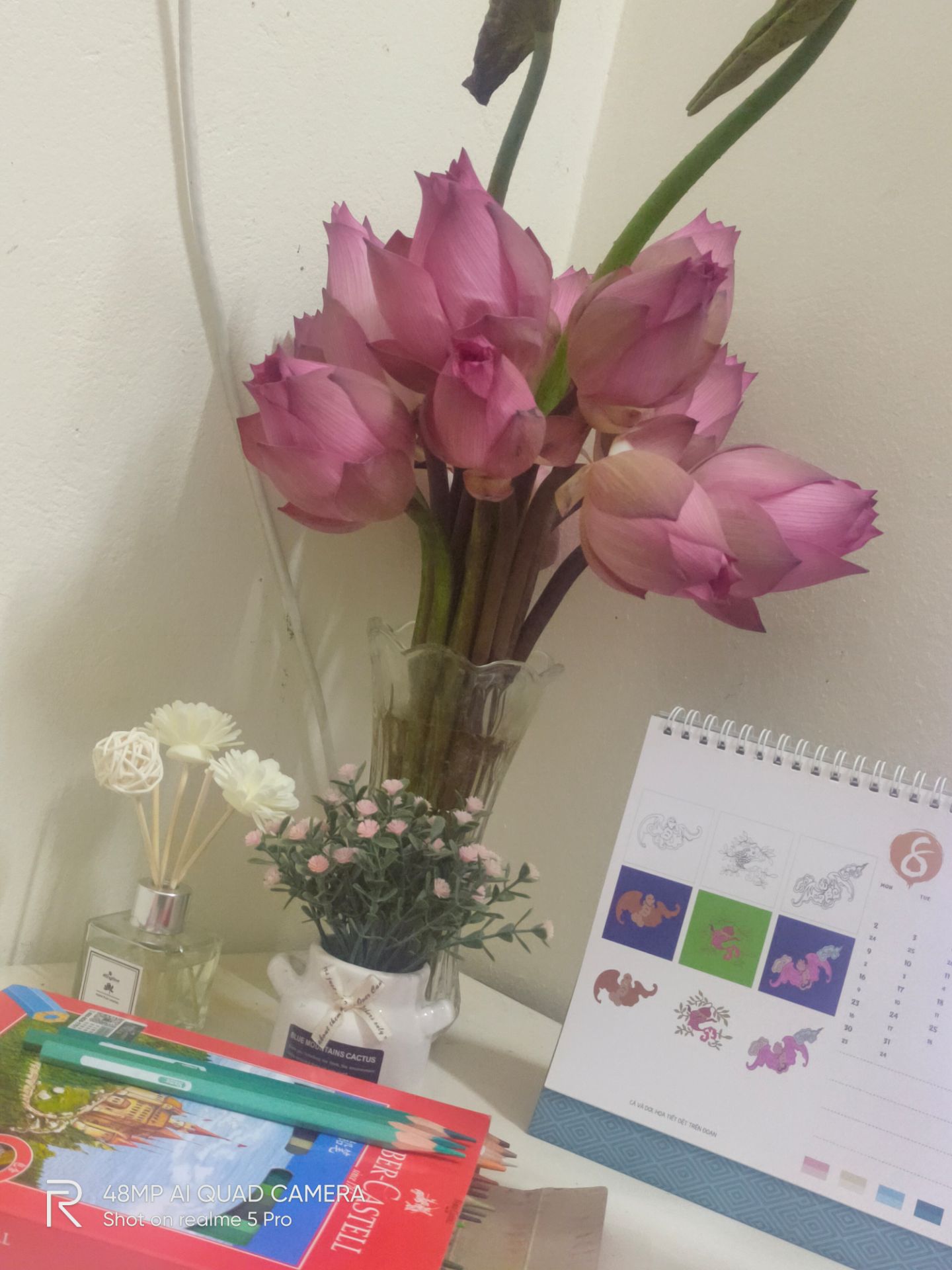 Ảnh mang tính chất lấy sao. Giao hàng đúng hẹn. Dầu gội này mình dùng lâu rồi, cuejc kỳ hợp và tốt nếu dùng cả cặp. Chuyển loại khác là chán ngay. Sẽ gắn bó lâu dài