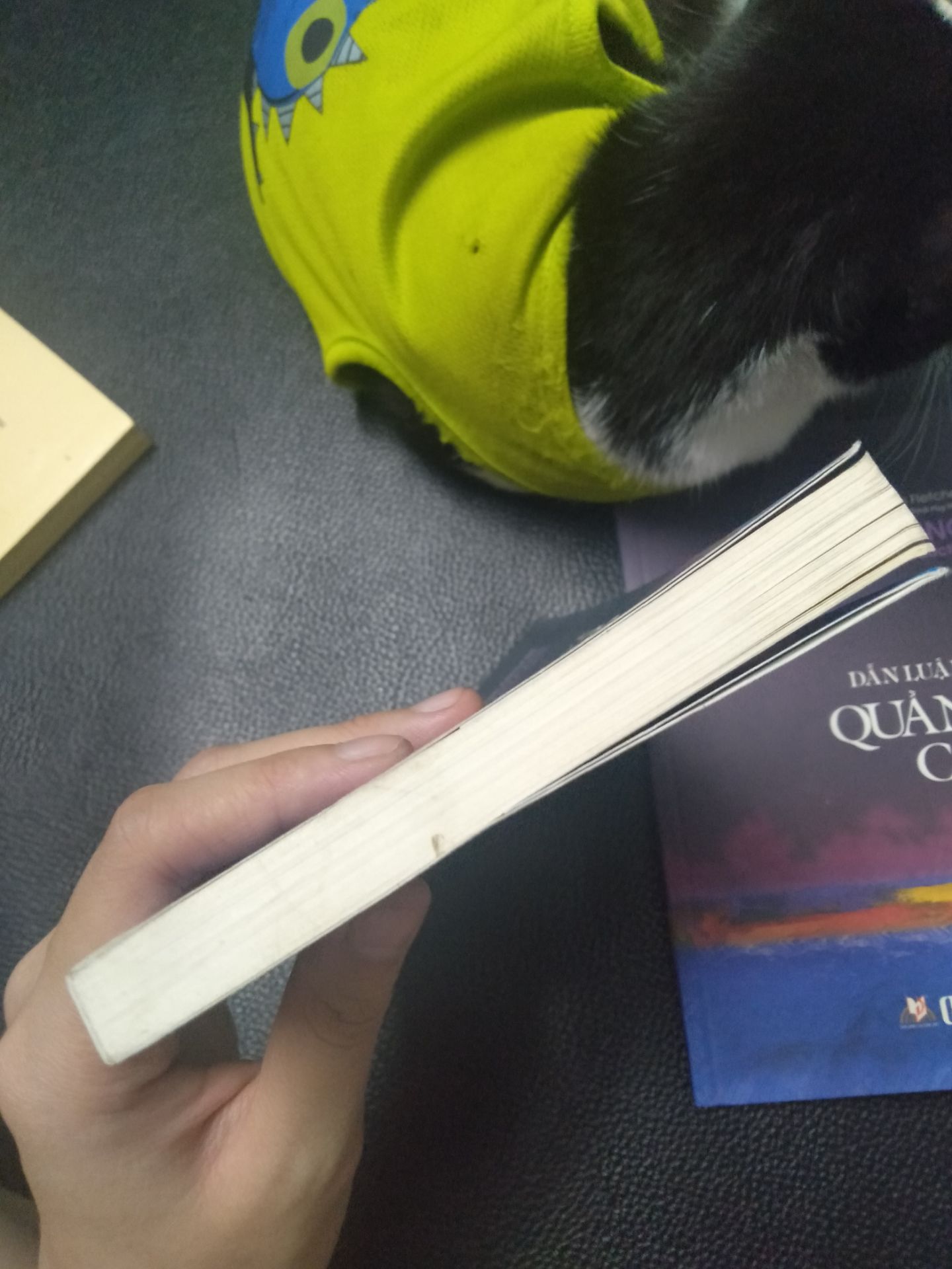 chất lượng sản phẩm cũng ổn. Tuy nhiên sách giao bìa khác màu nhau. Có quyển có markbook có quyển k có mà màu nhìn hơi cũ. giao hàng nhanh