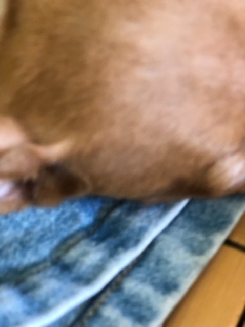 Hàng đẹp chắc chắn đóng gói cận thận giao hàng nhanh