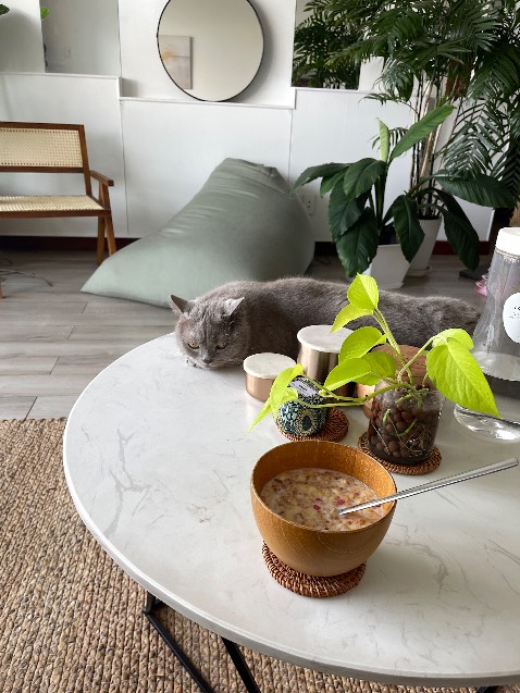 Giao hàng nhanh, đóng gói cẩn thận, vì mua làm quà tặng nên chưa đánh giá được chất lượng.