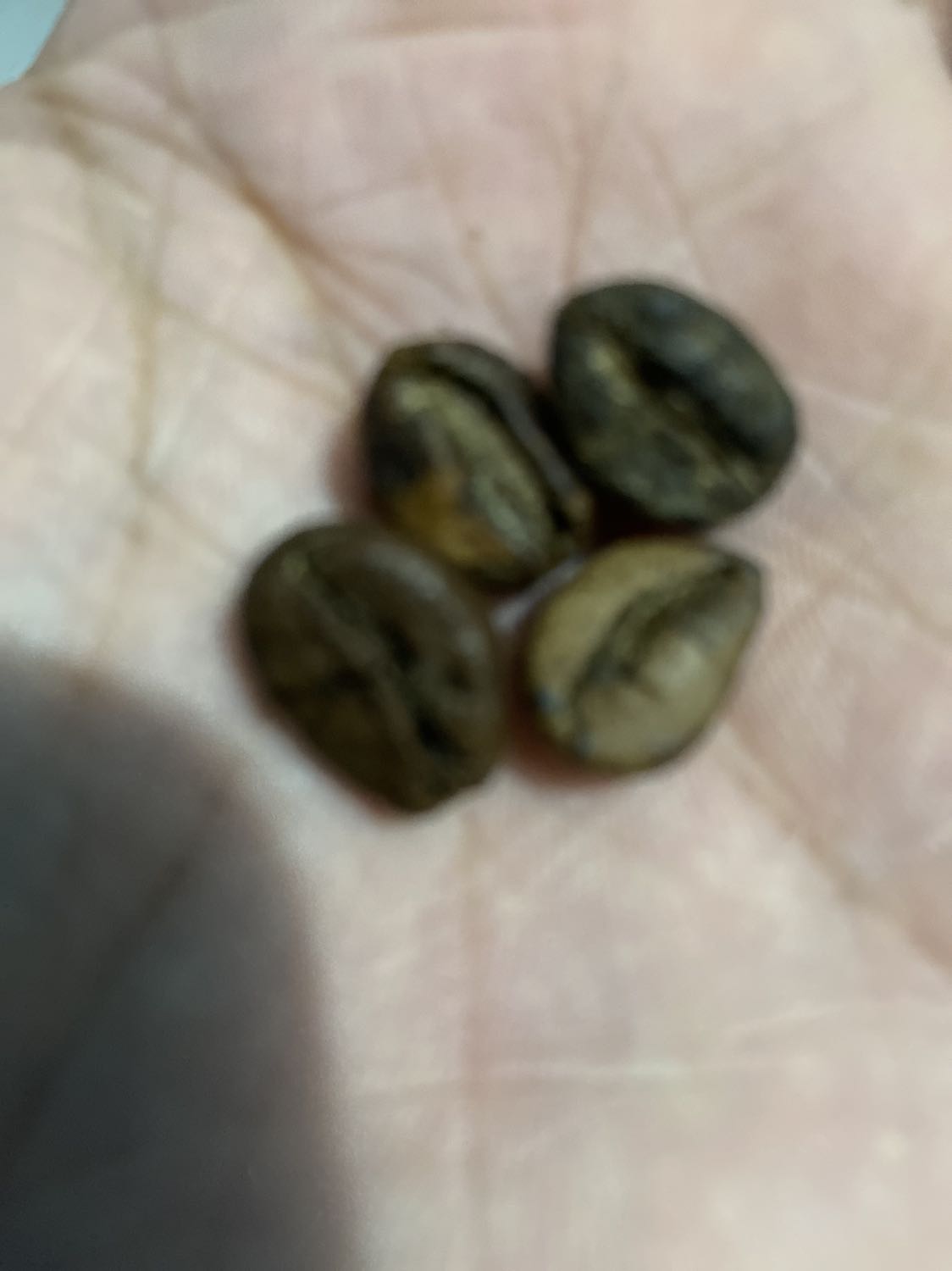 Nhìn hạt cafe mà hết hồn luôn. Nhìn hạt thì có thể đoán nhân cafe trước rang là như thế nào rồi.  Mình bóc 4 bịch ra đều vậy.